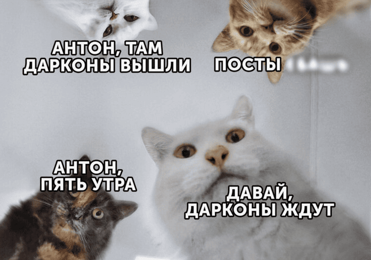 Пример UGC-контента, созданного случайно – мемы про сммщика Кинопоиска